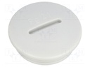 Stopper; PG21; IP54; Mat: polystyrene; light grey