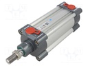 Profile cylinder; Piston diam: 25mm; Piston stroke: 100mm