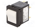 Circuit breaker; Urated: 240VAC; 60VDC; 6A; DPST; Poles: 2; SNAP-IN