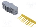 Fuse acces: case; snap-fastener; Body: grey; ways: 12; Mat: PA66