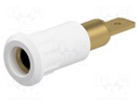 Socket; 4mm banana; 25A; 30VAC; 60VDC; 30mm; white; gold-plated