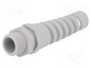 Cable gland; with strain relief; NPT1/2"; IP68; Mat: polyamide