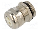 Cable gland