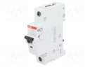 Circuit breaker; 230VAC; Inom: 10A; Poles: 1; DIN; Charact: B; 6kA