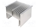 Heatsink: extruded; U; L: 100mm; W: 124mm; H: 80mm; 1K/W; aluminium