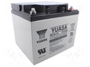 Re-battery: acid-lead; 12V; 50Ah; AGM; maintenance-free