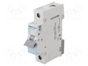 Circuit breaker; 230VAC; Inom: 6A; Poles: 1; DIN; Charact: B; 6kA