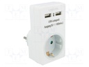 Power supply: switched-mode; 5VDC; 2A; Out: USB x2; 10W; Plug: EU