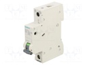 Circuit breaker; 230VAC; Inom: 32A; Poles: 1; DIN; Charact: C; 6kA