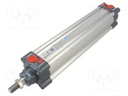 Profile cylinder; Piston diam: 20mm; Piston stroke: 250mm