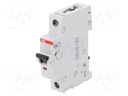 Circuit breaker; 230VAC; Inom: 10A; Poles: 1; DIN; Charact: C; 6kA