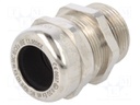 Cable gland; with long thread; M25; IP68; Mat: brass