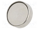 Replacement magnet; Application: EX407860-P