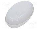 Lamp: lighting fixture; PANDA OVAL; polycarbonate; E27; IP65