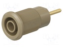 Socket; 4mm banana; 24A; 1kV; brown; gold-plated; on panel