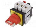 Main emergency switch-disconnector; Poles: 3; 63A; TeSys VARIO