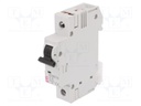 Circuit breaker; 230/400VAC; Inom: 6A; Poles: 1; DIN; Charact: C