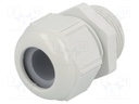 Cable gland; M25; IP68,IP69K; Mat: polyamide; light grey