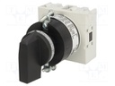 Switch: cam switch; Stabl.pos: 2; 16A; 0-1; Poles: 2; Pos: 2; -25÷55°C