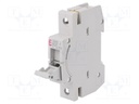 Fuse disconnector; D01; Mounting: for DIN rail mounting; 10A