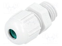 Cable gland; M12; IP68; Mat: polyamide; grey; UL94V-0; halogen free