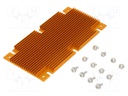 Heatsink: extruded; grilled; golden; L: 117mm; W: 61mm; H: 6.1mm
