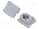 Cap for LED profiles; silver; 10pcs.