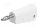 Plug; 4mm banana; 32A; white; nickel plated; Mounting: on cable