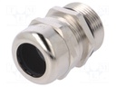 Cable gland; with long thread,with earthing; PG21; IP68