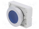 Switch: push-button; Stabl.pos: 1; 30mm; blue; M22-FLED,M22-LED