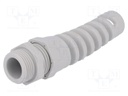 Cable gland; with strain relief; M20; IP68; Mat: polyamide; grey