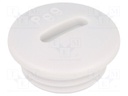 Stopper; PG9; IP54; Mat: polystyrene; light grey