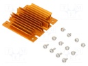 Heatsink: extruded; grilled; golden; L: 61mm; W: 58mm; H: 11.4mm