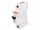 Circuit breaker; 230VAC; Inom: 10A; Poles: 1; DIN; Charact: C; 10kA