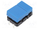 Switch: keypad; Pos: 2; SPST-NO; 0.05A/24VDC; blue; Illumin: none