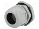 Cable gland; M40; IP68; Mat: polyamide; dark grey; UL94V-2