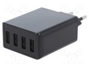 Power supply: switched-mode; voltage source; 5VDC; 6A; 30W; plug