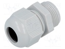 Cable gland; PG13,5; IP68; Mat: polyamide; grey