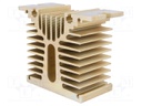 Heatsink: extruded; Y; golden; L: 45mm; W: 100mm; H: 81mm; aluminium