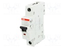 Circuit breaker; 230VAC; Inom: 10A; Poles: 1; DIN; Charact: C; 6kA