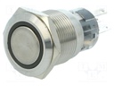 Switch: vandal resistant; Pos: 2; SPDT; 0.5A/220VAC; 1A/24VDC; IP67