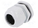 Cable gland; PG29; IP67; Mat: polyamide; grey