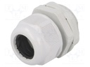 Cable gland; M32; IP65; Mat: polyamide; grey