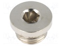 Protection cap; G 1/4"; 100bar; Mat: nickel plated brass