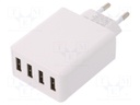 Power supply: switched-mode; voltage source; 5VDC; 6A; 30W; plug