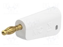 Plug; 4mm banana; 19A; 30VAC; 60VDC; white; nickel plated; 1mm2