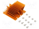 Heatsink: extruded; grilled; golden; L: 61mm; W: 58mm; H: 22.9mm