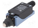 Limit switch; pin plunger Ø8mm; NO + NC; 5A; max.250VAC; IP65
