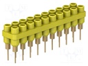 Socket strip; Connector: 2mm banana; yellow; 60VDC; 10A; 30VAC