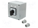 Switch: cam switch; Stabl.pos: 2; 100A; 0-1; Poles: 3; Pos: 2; IP65